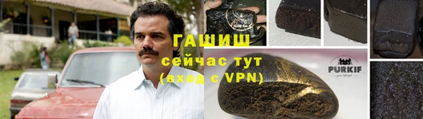 твердый Заводоуковск