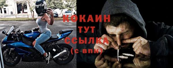 твердый Заводоуковск