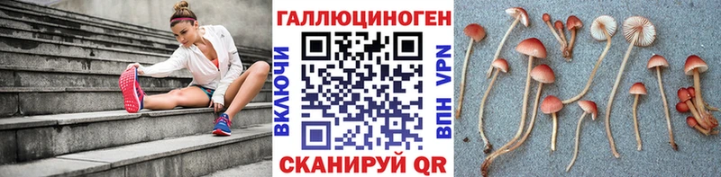 Купить  Зеленодольск  Псилоцибиновые грибы Magic Shrooms 
